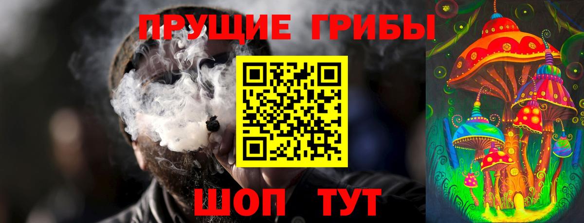 Свободный  Псилоцибиновые грибы GOLDEN TEACHER  Галлюциногенные грибы мухоморы  Вход с VPN 